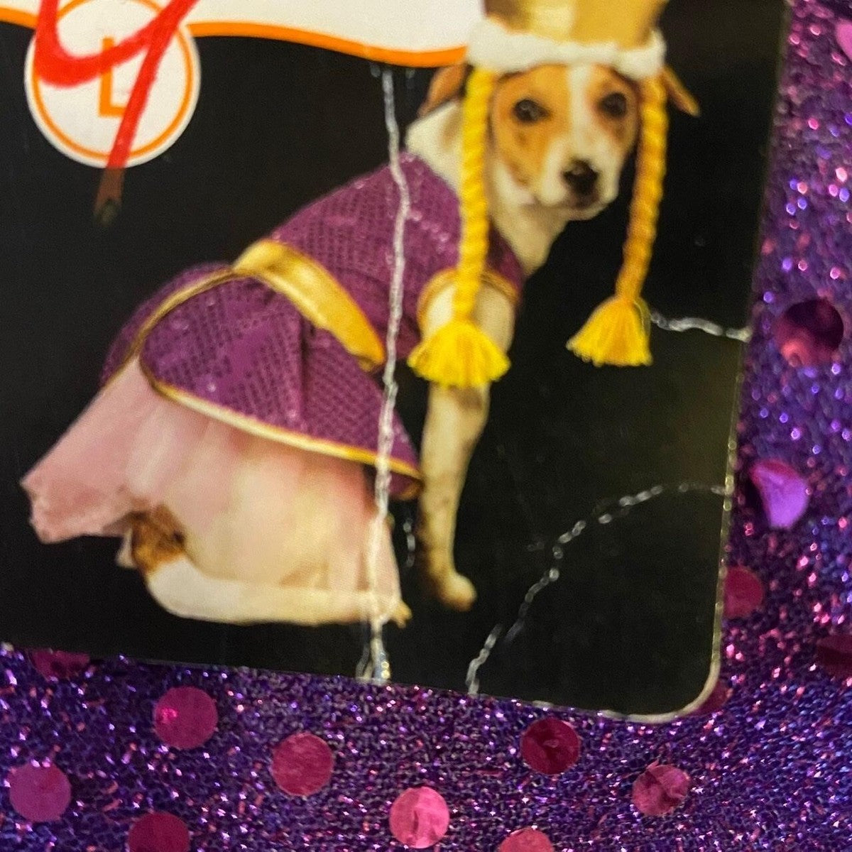 Rapuzel Queen of the Castle Pet costume