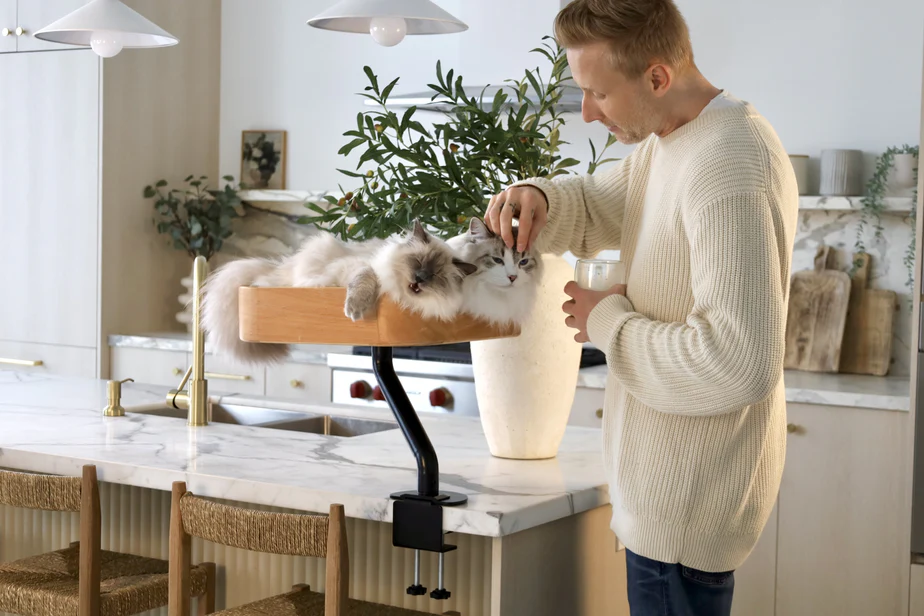 Ergo Purrch - The Sustainable Desk-Mounted Cat Bed