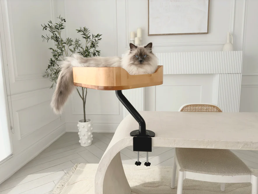 Ergo Purrch - The Sustainable Desk-Mounted Cat Bed