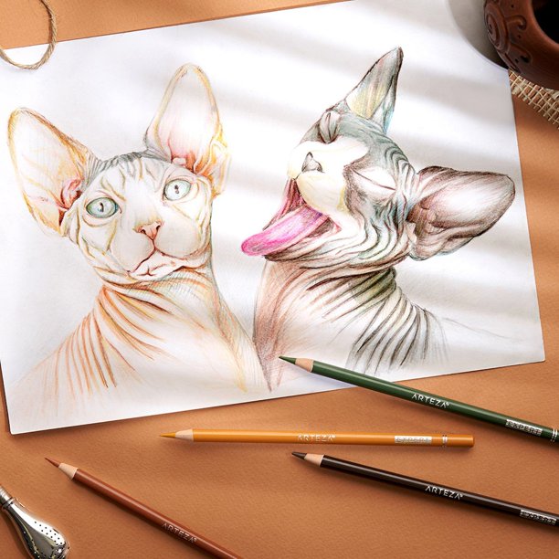 Arteza Professional Grade Colored Pencil