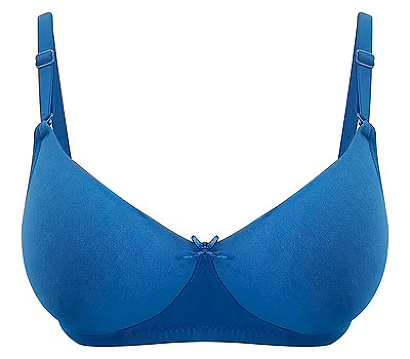 Blue Bra