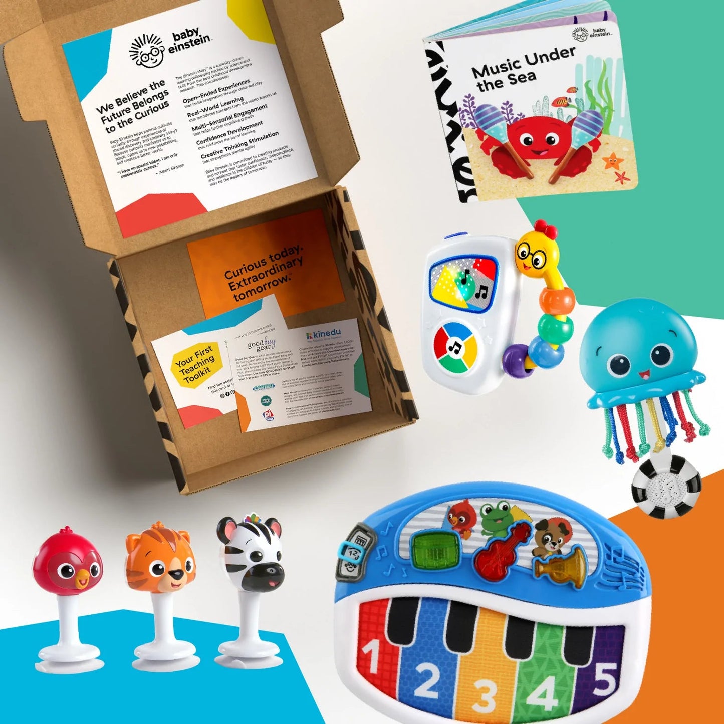 Professora™ dos primeiros sentidos e formas do bebê