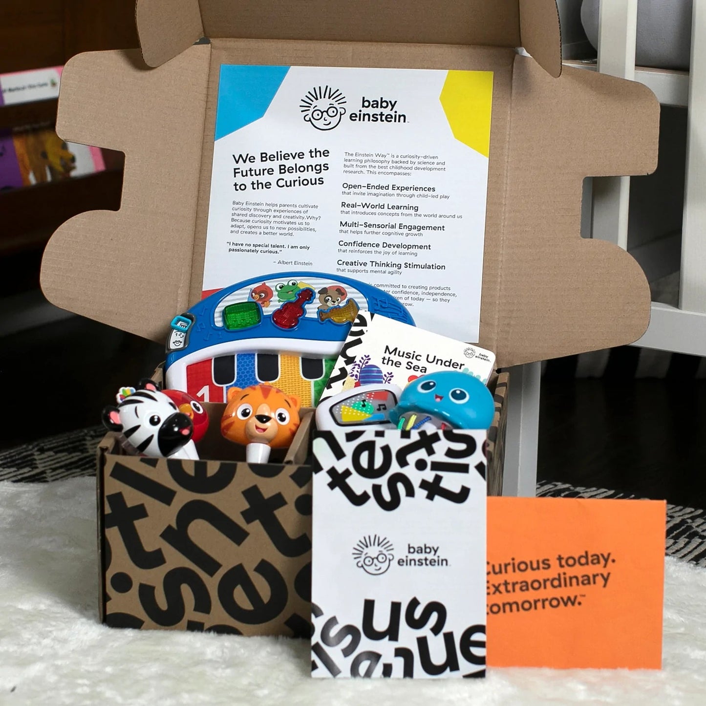 Professora™ dos primeiros sentidos e formas do bebê