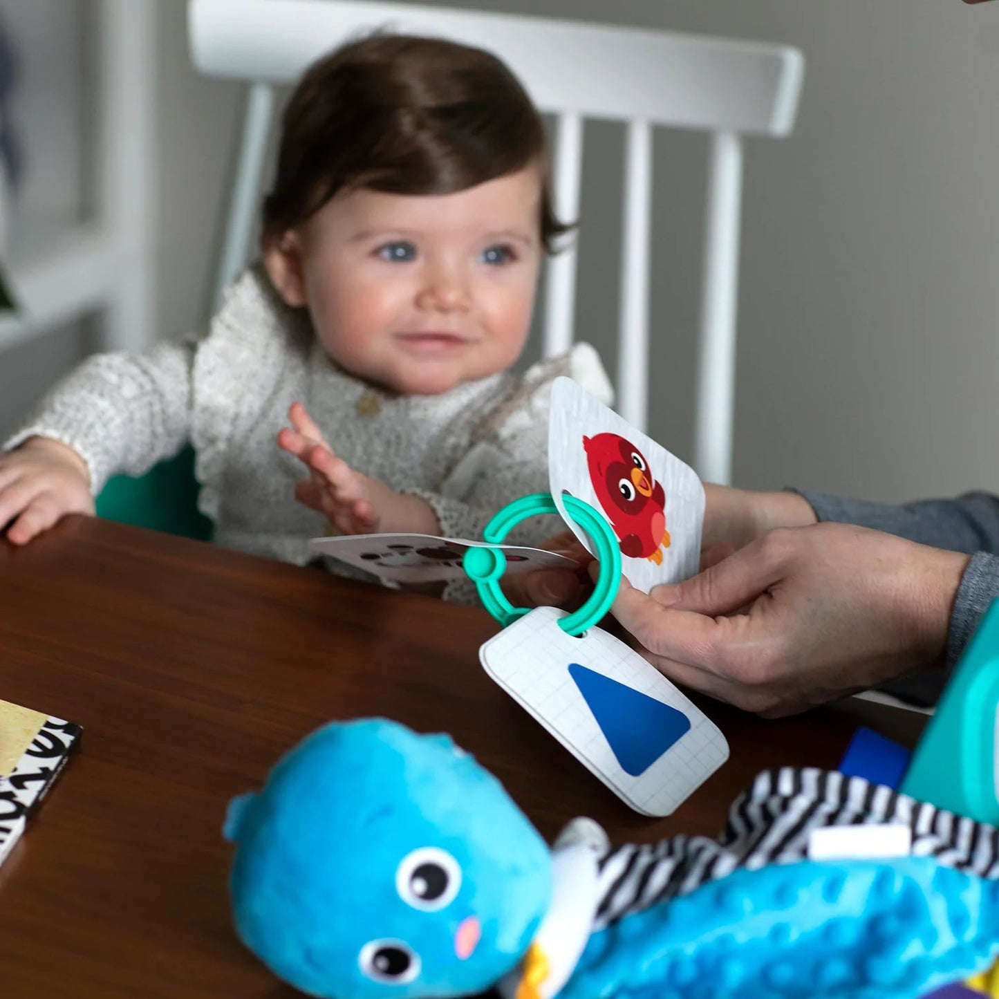 Professora™ dos primeiros sentidos e formas do bebê